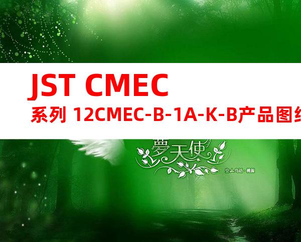 JST CMEC系列 12CMEC-B-1A-K-B产品图纸